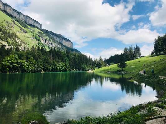 Die wunderschöne Welt mit Hund.-Beitrag-Bild