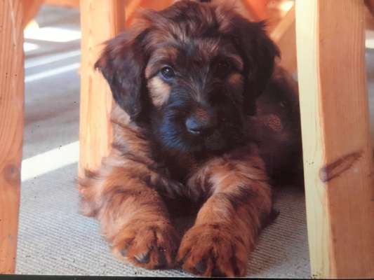 Foto Challenge 82-Beitrag-Bild