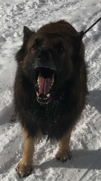 20. Handy -Foto-Callenge-Beitrag-Bild