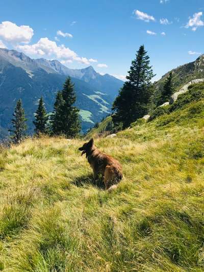 Fotochallenge Nr.100 Urlaubsimpressionen-Beitrag-Bild