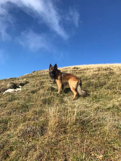 Fotochallenge Nr. 67: Euer Lieblingsbild-Beitrag-Bild