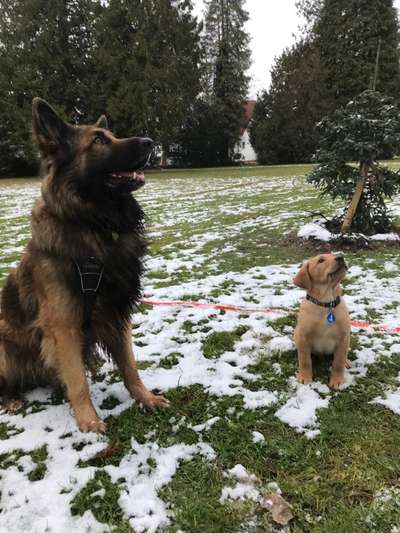 Fotochallenge 87: Im Park-Beitrag-Bild