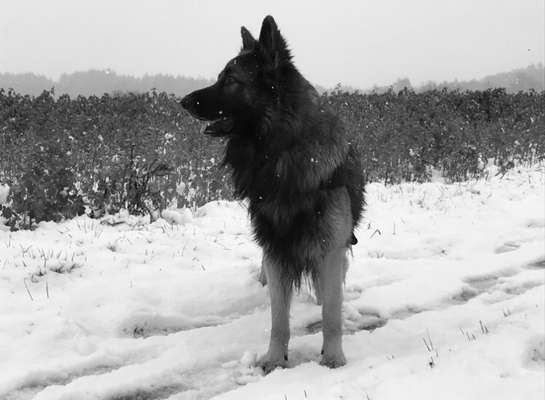 Foto-Challenge 76: Foto in Schwarz-Weiss-Beitrag-Bild