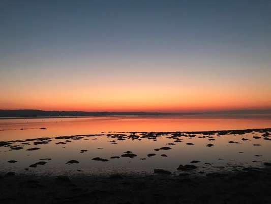 Die wunderschöne Welt mit Hund.-Beitrag-Bild