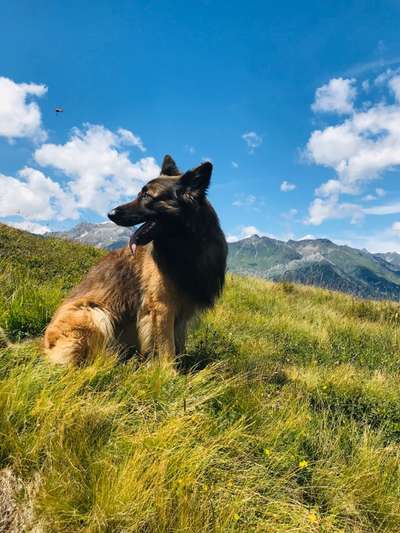 Doppelgänger gesucht !-Beitrag-Bild