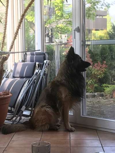 120. Fotochallenge-Beitrag-Bild