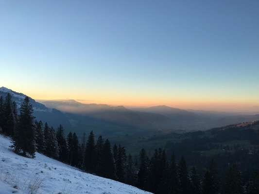 Die wunderschöne Welt mit Hund.-Beitrag-Bild