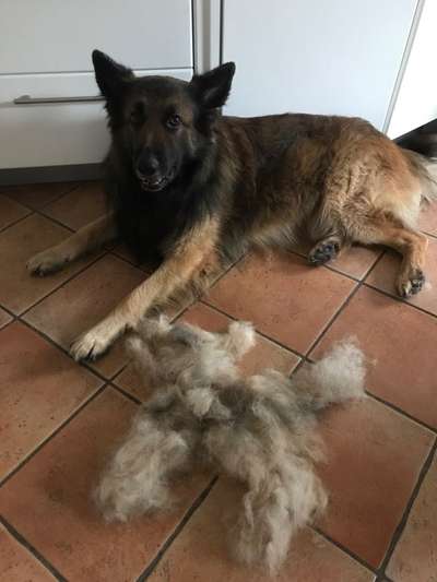 Fotochallenge 88-Beitrag-Bild