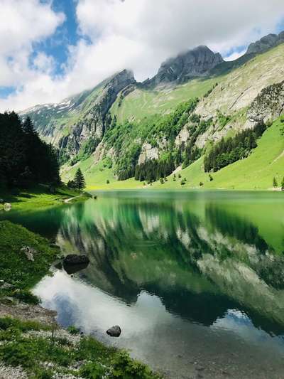 Die wunderschöne Welt mit Hund.-Beitrag-Bild