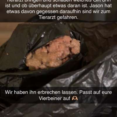 Giftköder-Nassfuttergift Köder-Bild