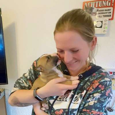 Hundetreffen-Gassi- und Spielkumpel gesucht