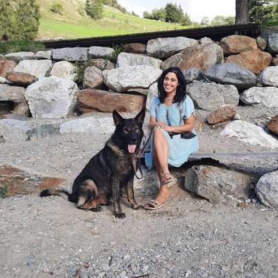 Hundetreffen-Spielhunde gesucht gern größere Hunde :) oder Gassi runde 🐕-Bild