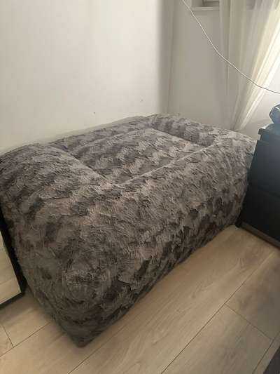 Hundebetten - Erfahrungen?-Beitrag-Bild