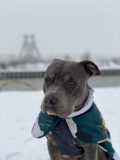 Der erste Schnee, zeigt uns eure tollen Schneemomente-Beitrag-Bild