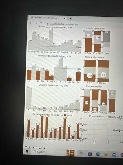 Barfen, wie macht ihr es?-Beitrag-Bild