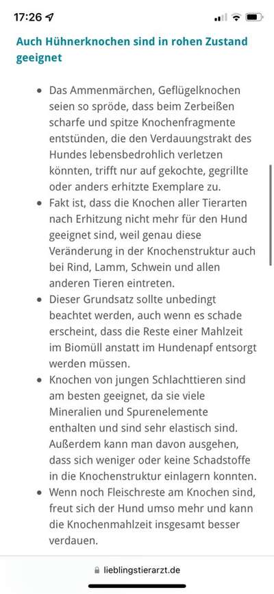 Knochen für den Hund-Beitrag-Bild
