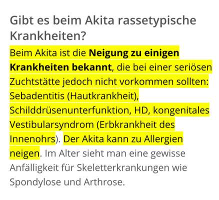 Nachkommen vom eigenen Hund-Beitrag-Bild