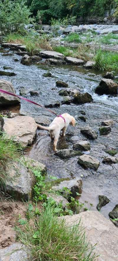 Fotochallenge Nr. 94 It's summer time-Beitrag-Bild