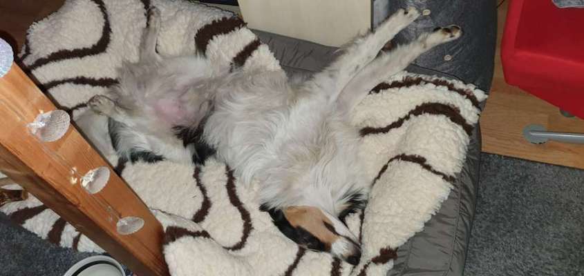 Die unbequemsten und lustigsten Schlafpositionen-Beitrag-Bild