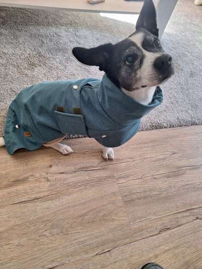 Wintermantel gesucht-Beitrag-Bild