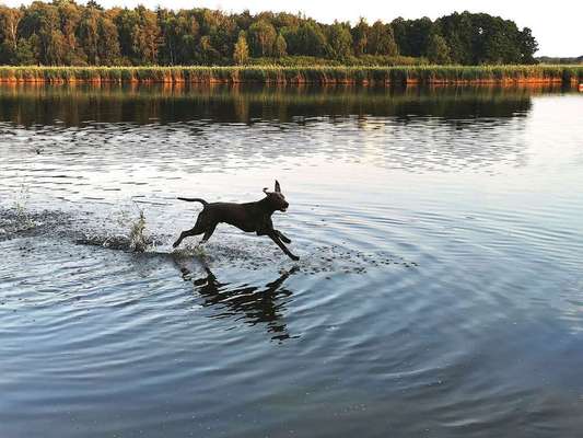 Foto Challenge - BEENDET - bitte aktuelle Challenge nutzen-Beitrag-Bild