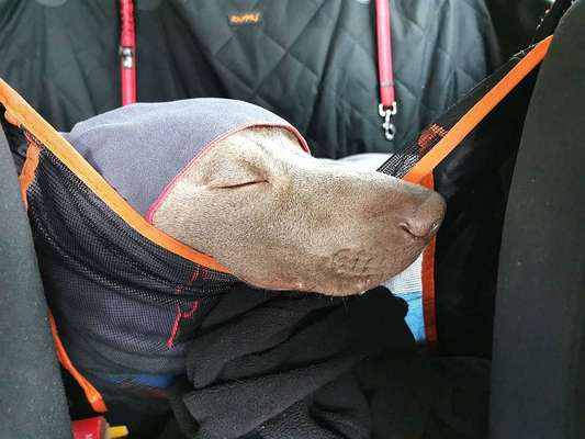 CHALLENGE NR. 18 - ON TOUR-Beitrag-Bild