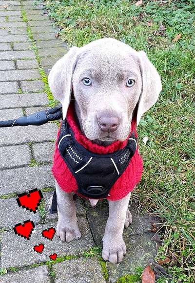 Foto Challenge 3-Beitrag-Bild