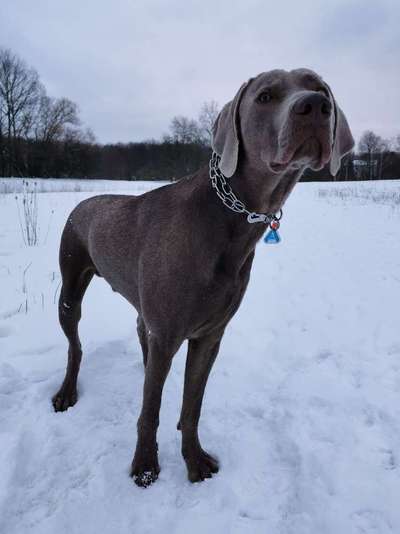 Challenge Nr. 15
Spiel im Schnee-Beitrag-Bild