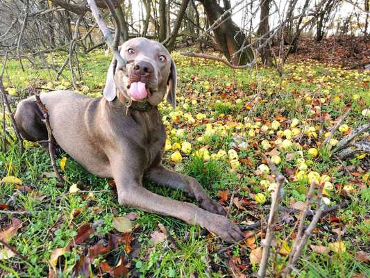 Fotochallange Nr. 6 Die irrsten Blicke-Beitrag-Bild