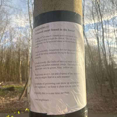 Giftköder-Achtung Giftköder!-Bild