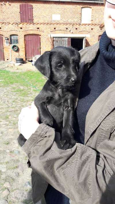 Das erste Foto-Beitrag-Bild