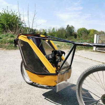 hundehänger fürs Rad?-Beitrag-Bild