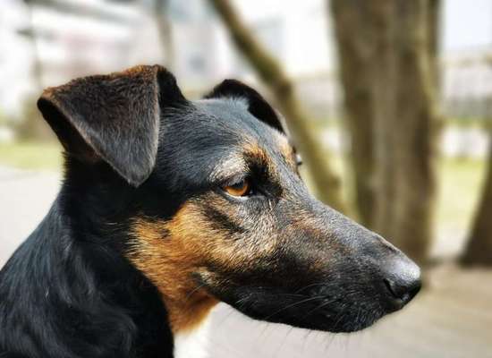 Zeigt eure Portraits-Beitrag-Bild