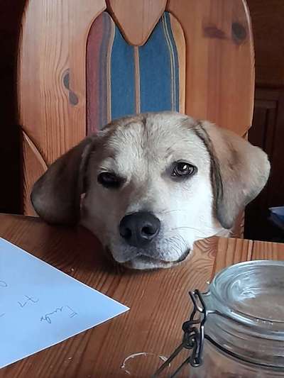 Fotochallange Nr. 6 Die irrsten Blicke-Beitrag-Bild