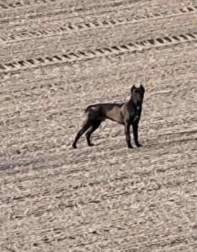 Suchmeldung-EYS-Bild