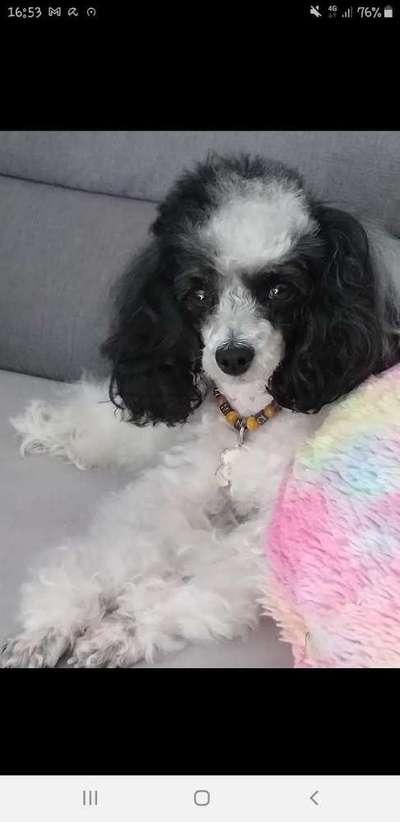 Lieblings Fotos-Beitrag-Bild