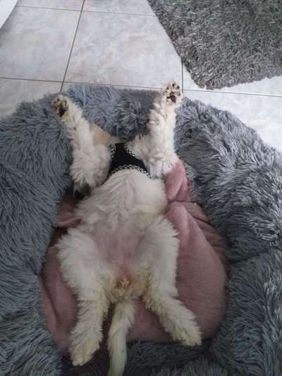 Lieblings Fotos-Beitrag-Bild