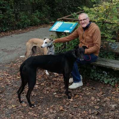 Hans-Carsten's Profilbild