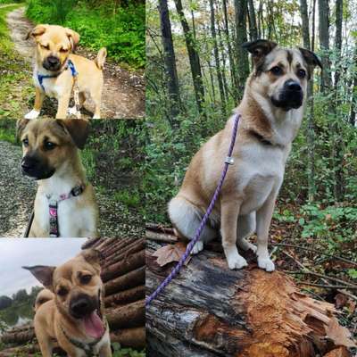 Vorher.... Nachher-Beitrag-Bild