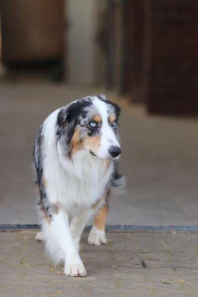 Zeigt eure Portraits-Beitrag-Bild