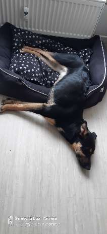 CHALLENGE NR. 34 - Liege-/Schlafpositionen-Beitrag-Bild