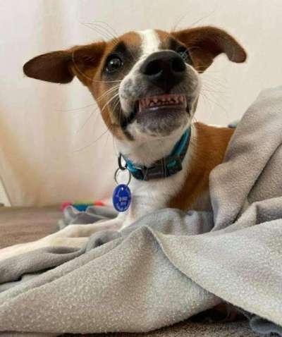 Erstes Bild-Beitrag-Bild