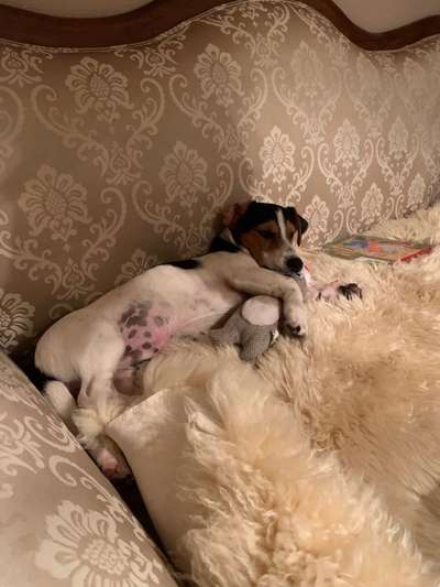 Erfahrung mit Wolkenbett-Beitrag-Bild