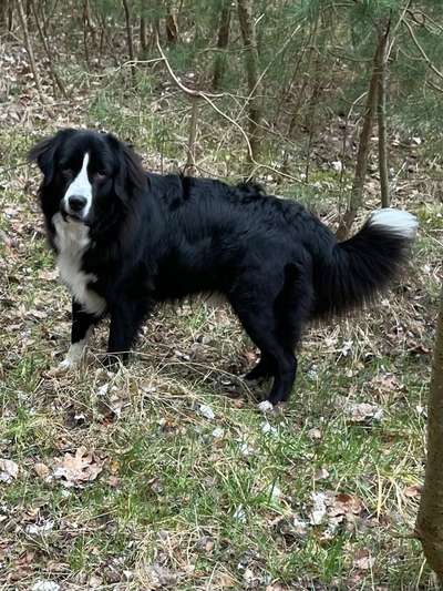 mailo, milow,meilo..-Beitrag-Bild