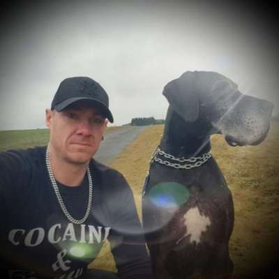 Hundetreffen-Für Spaziergang jemand mit großer stabiler Hündin gesucht-Profilbild