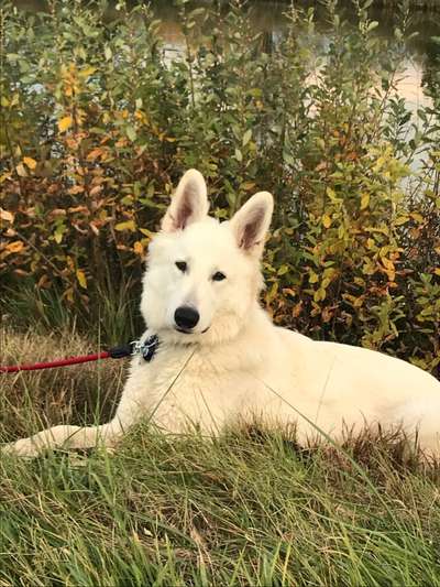 Fotochallange Nr. 57     PORTRÄT.   Beendet!!!!!!!!-Beitrag-Bild