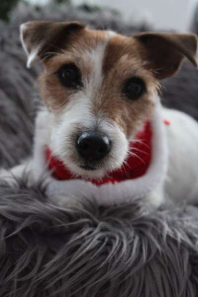 Zeigt eure Portraits-Beitrag-Bild