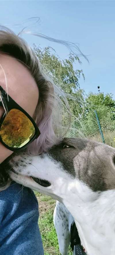 Dogorama Photo Challenge - Selfie Time!-Beitrag-Bild