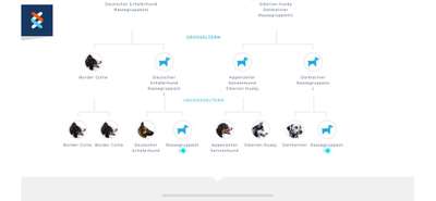 DNA-Tests-Beitrag-Bild