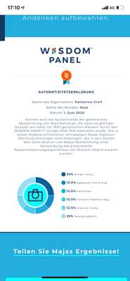 Rassetest-Beitrag-Bild